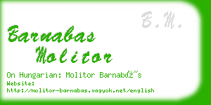 barnabas molitor business card